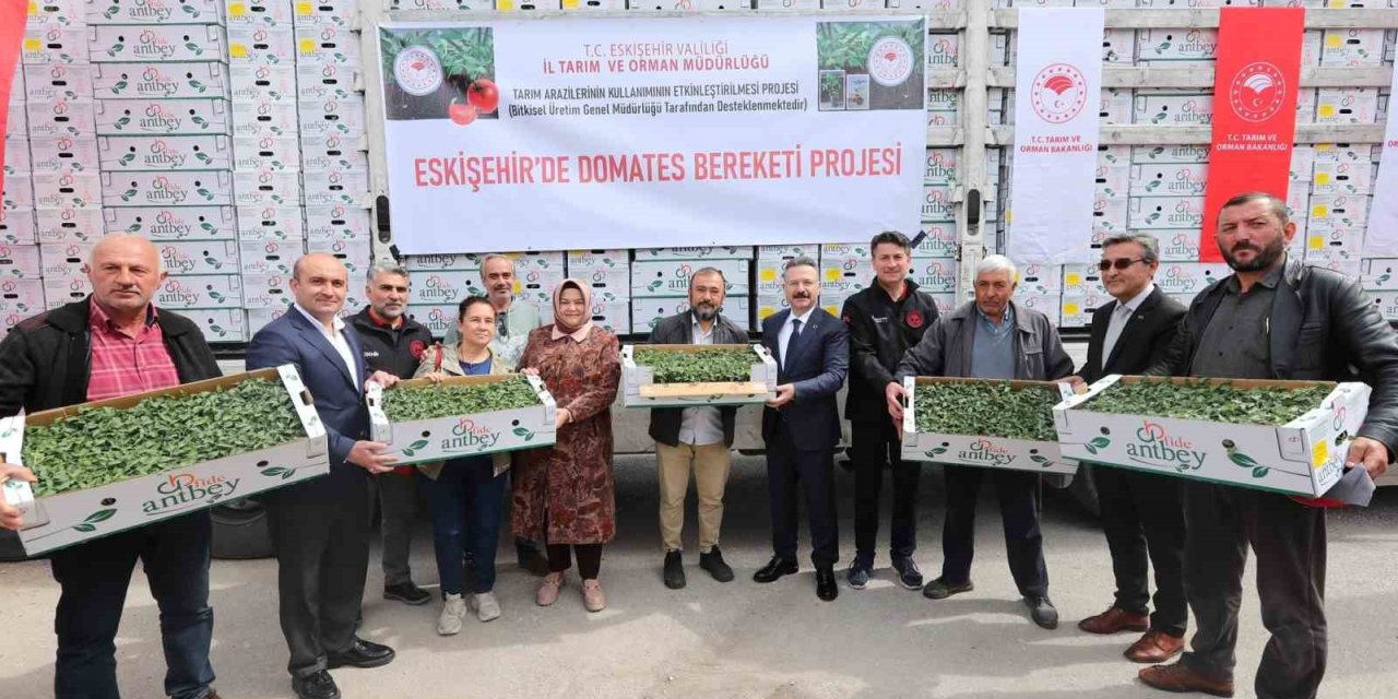 Vali Hüseyin Aksoy Çiftçilere Domates Fidesi Dağıttı