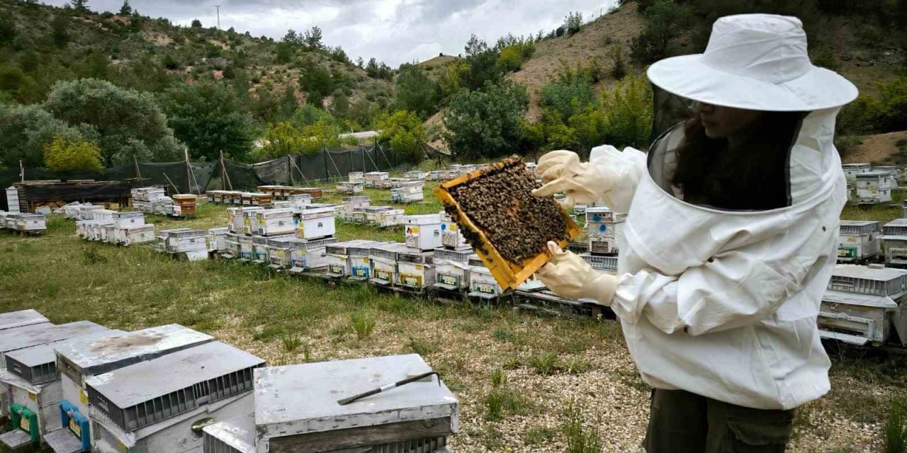 Arıköy’de Arıcılık Eğitimi Alan Genç Kız Böcek Korkusunu Yendi