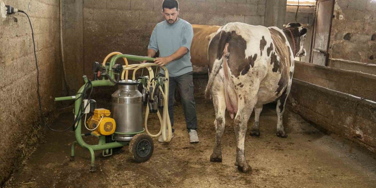 Mersin Büyükşehir Belediyesinden Süt Üreticilerine Destek