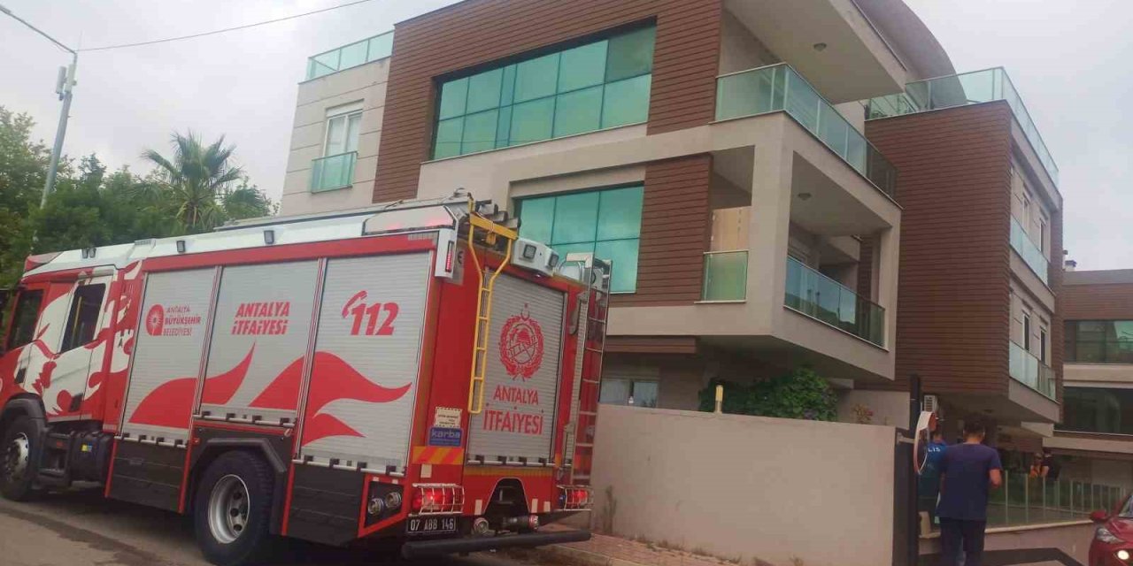 Dumandan Zehirlenen Köpekleri Yaşatmak İçin Kendi Oksijen Maskelerini Verip Kalp Masajı Yaptılar