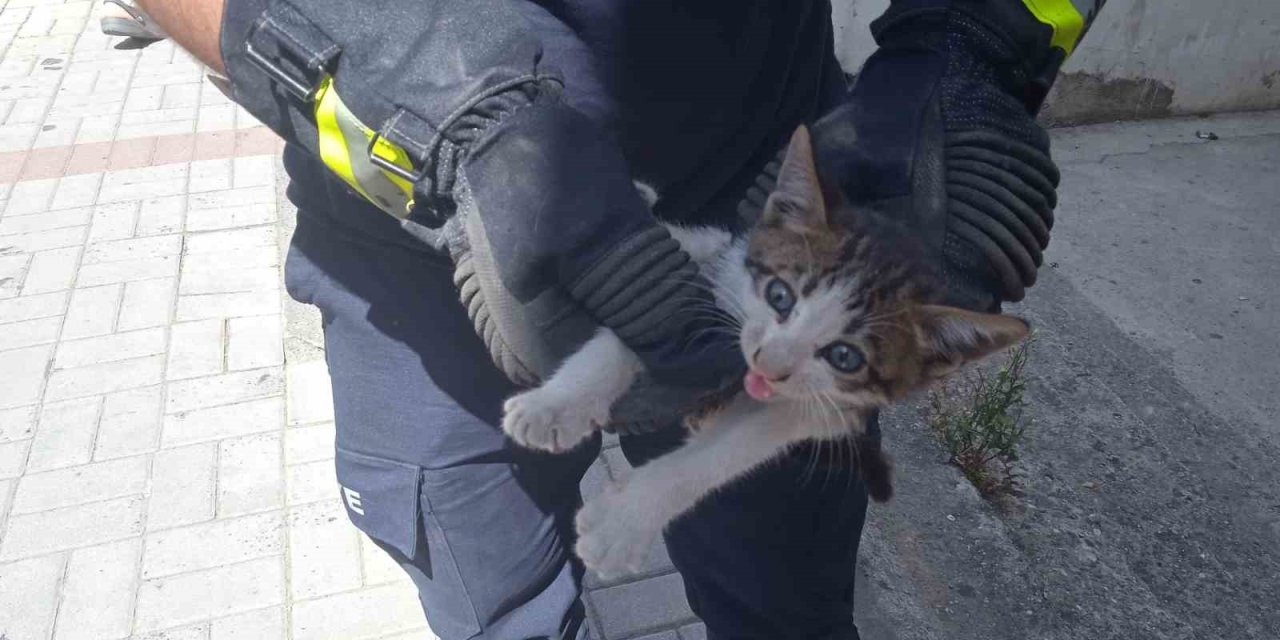 Alanya’da Motosikletin İçine Sıkışan Kedi 15 Dakikalık Çalışmayla Kurtarıldı