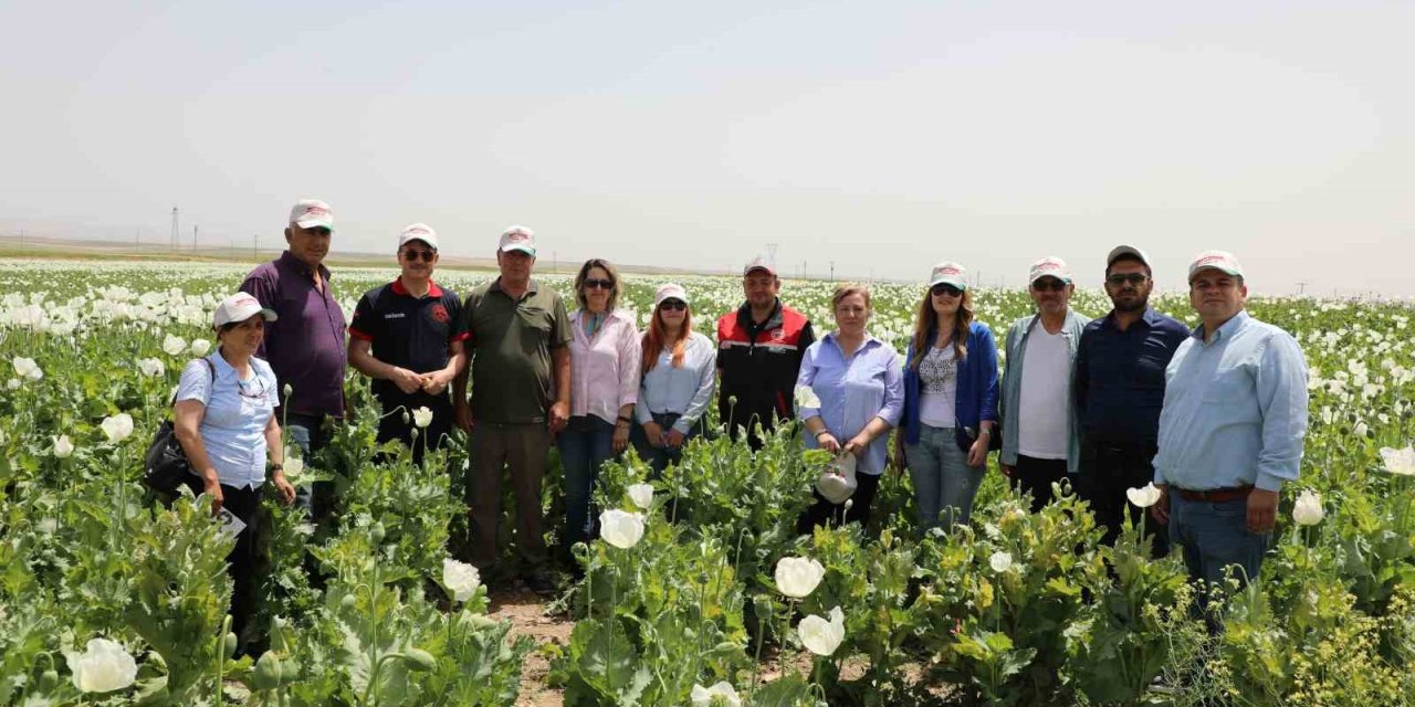 Eskişehir’de Haşhaş Çeşitleri İçin Tarla Günü Düzenlendi