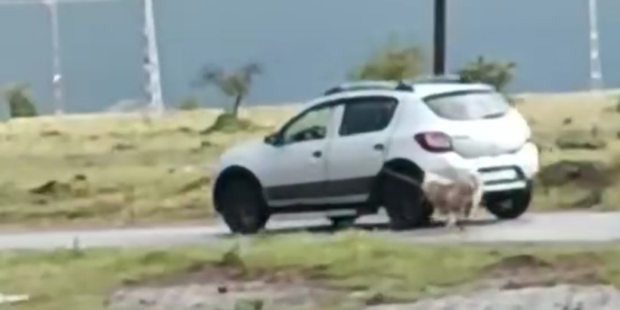 Köpeği Otomobile İple Bağlayıp Sürükledi