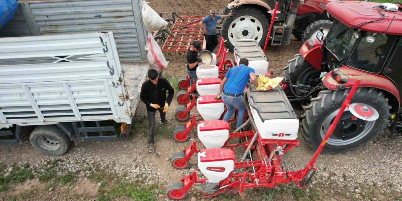 Tomarza’da Kabak Çekirdekleri Ekildi