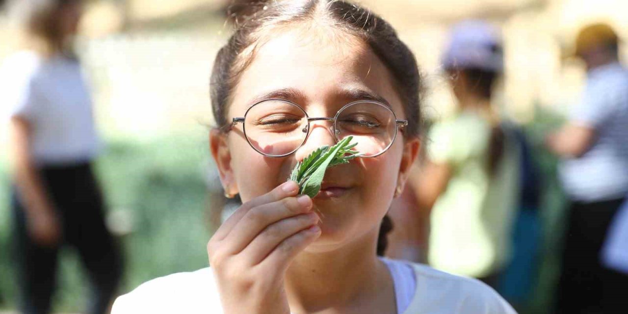 Büyükşehir’in ‘koku Bahçesi’ İlgi Görüyor