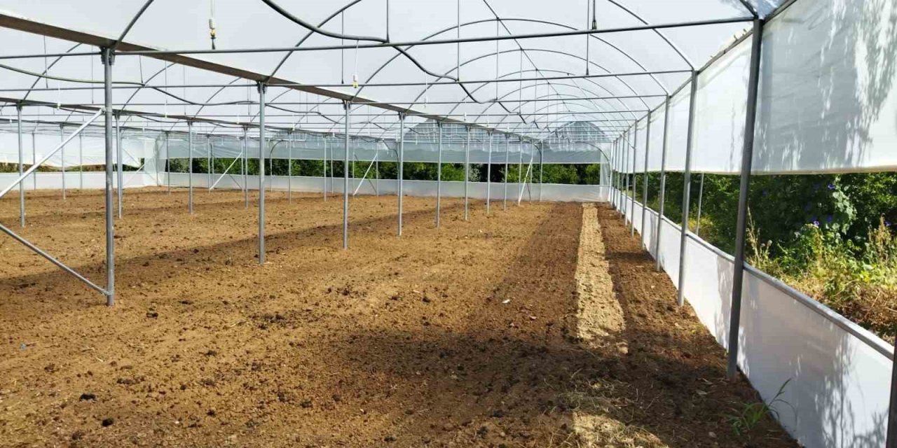 İl Tarım Ve Orman Müdürlüğü Kırsal Kalkınma Destekleri Sonuçlarını Açıkladı