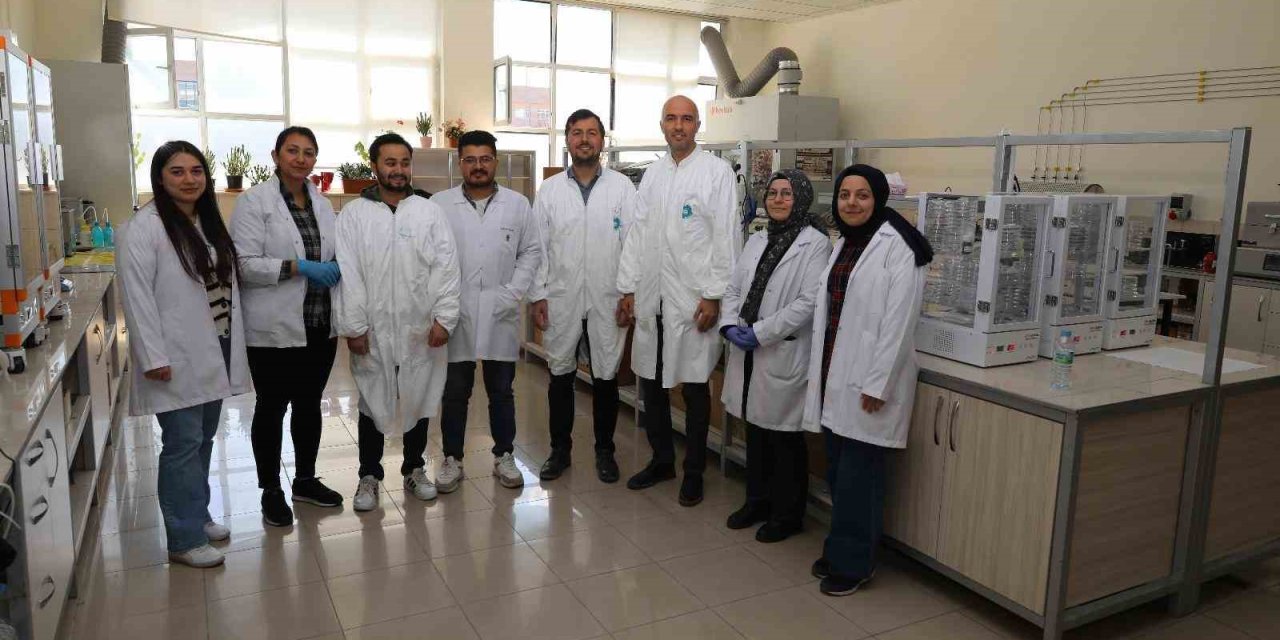 Güneş Pillerinin Verimliliği Yüzde 40 Arttırıldı