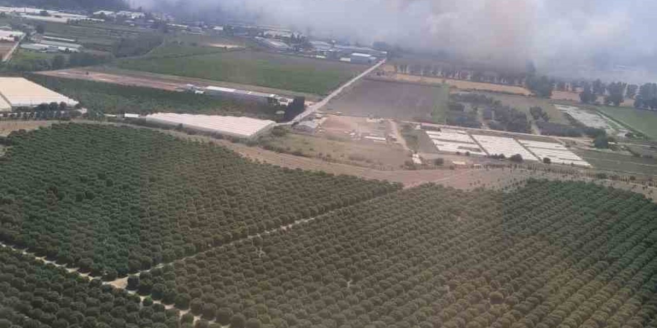 Antalya’da Orman Yangını