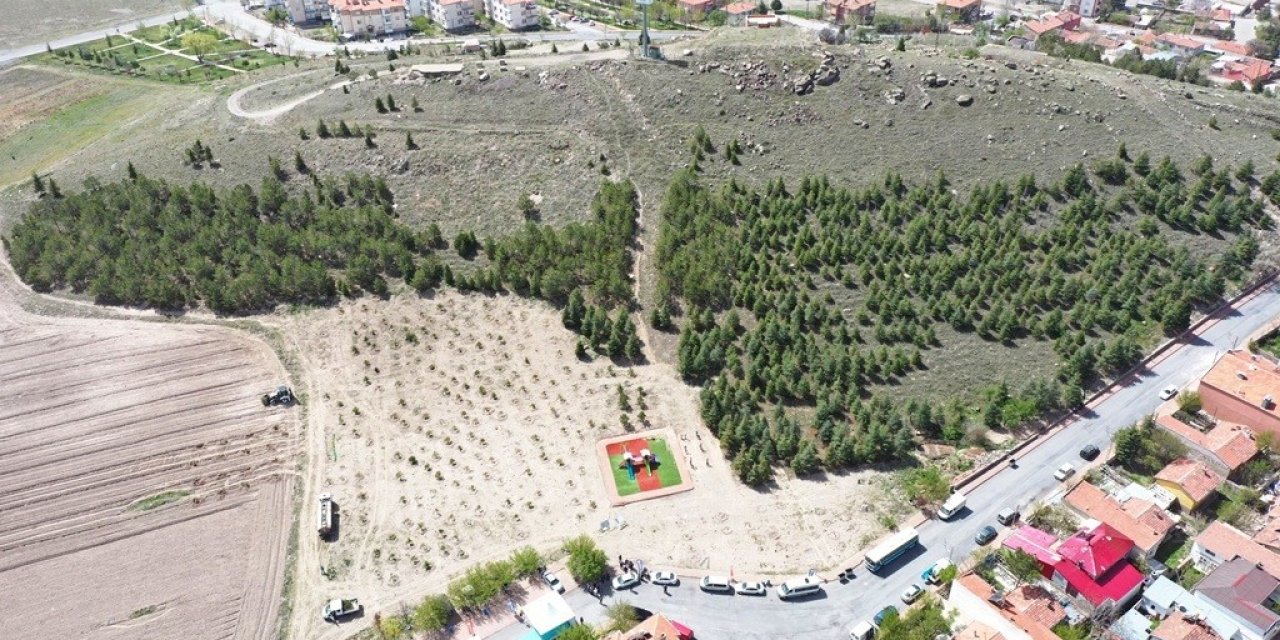 Başkan Çolakbayrakdar: “daha Güzel Çevre İçin Yoğun Gayret Gösteriyoruz”