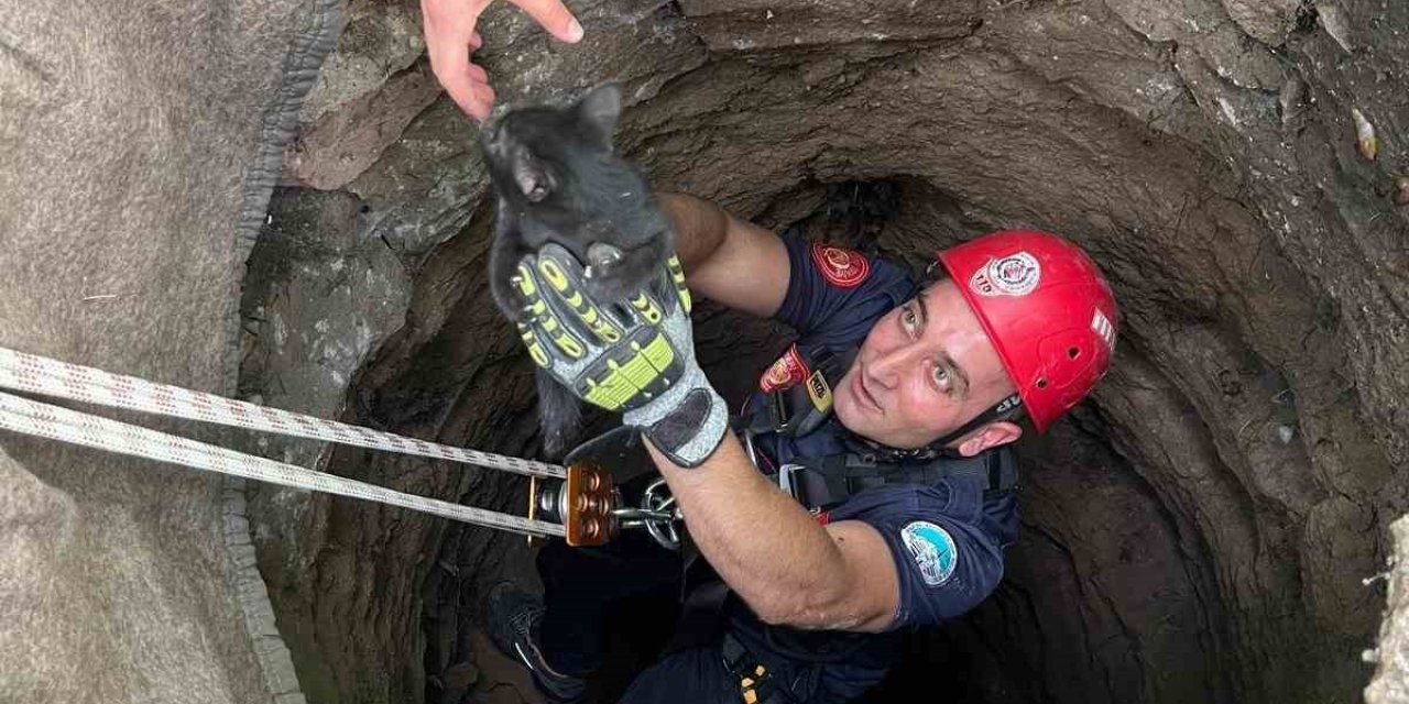Kuyuya Düşen Yavru Kedi Kurtarıldı