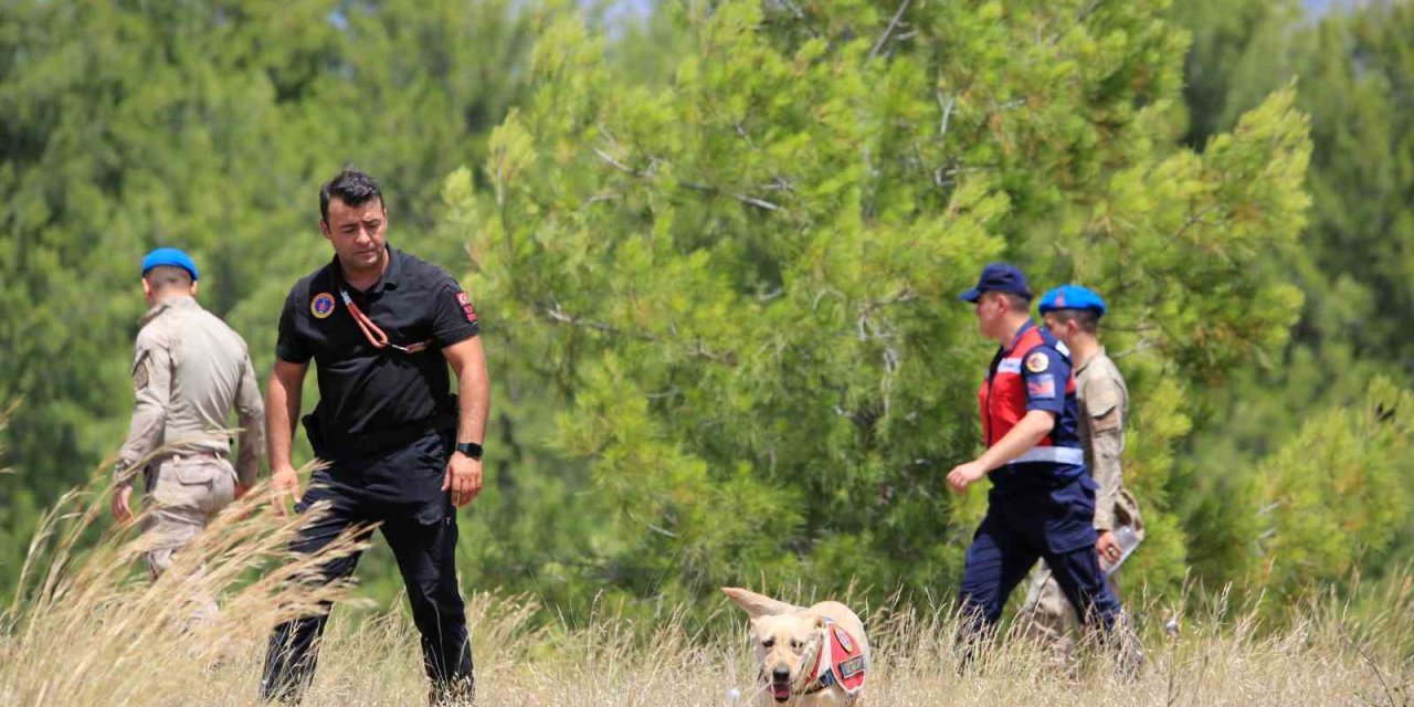 Kayıp Doktor İçin Jandarma Ve Afad Alarma Geçti