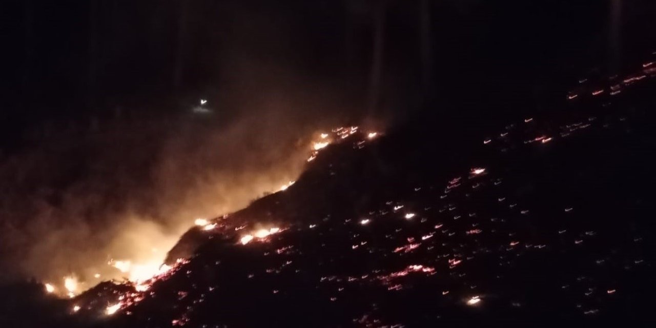 Mersin’de Orman Yangını: 10 Dönüm Alan Zarar Gördü