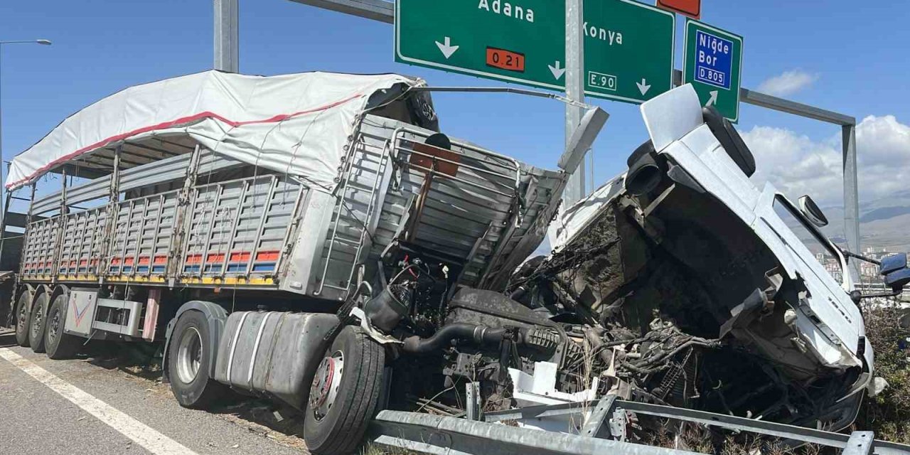 Büyükbaş Hayvan Yüklü Tır Devrildi: 2 Kişi Yaralandı, 7 Büyükbaş Hayvan Telef Oldu