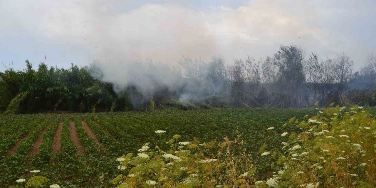 Antalya’da Çıkan Yangın Ağaçlara Sıçradı, Vatandaş Korkuya Kapıldı