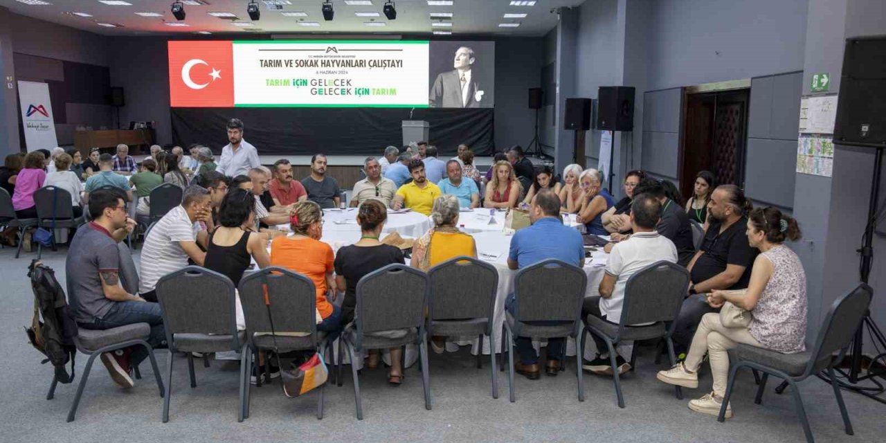 Mersin’de ’tarım Ve Sokak Hayvanları Çalıştayı’ Düzenlendi