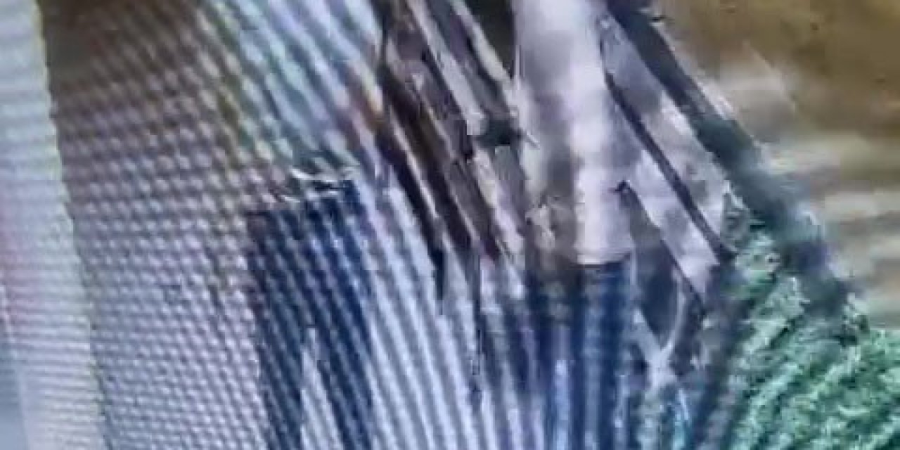 Antalya’da ’rahatsız Etme’ Cinayeti