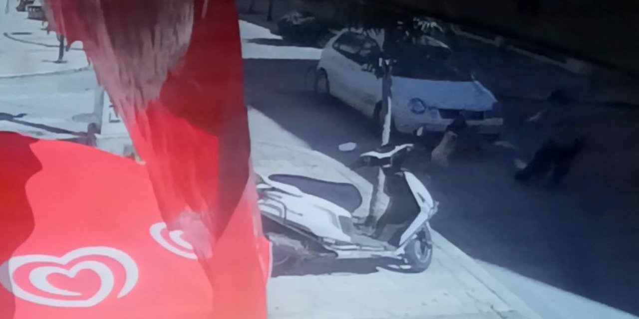 Anne Ve 2 Çocuğu Ölümden Döndü