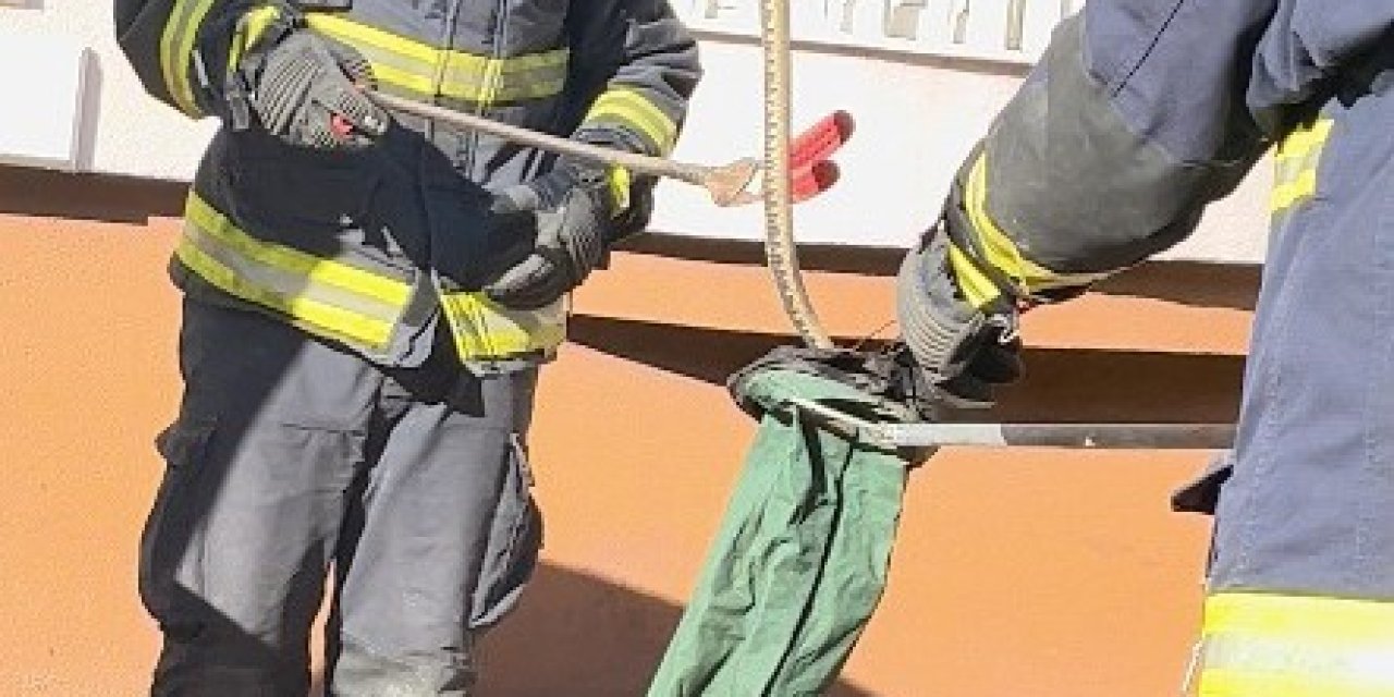 Park Halindeki Cipe Giren Yılanı, İtfaiye Ekipleri Çıkardı