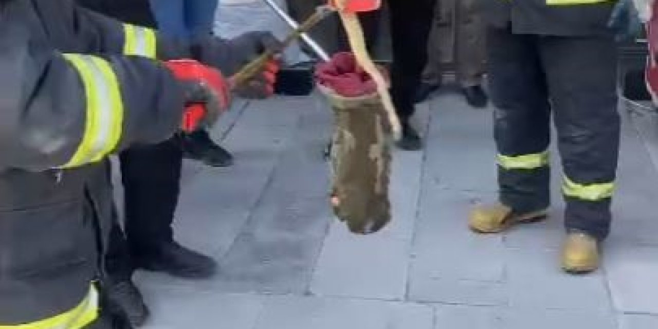 Karapınar’da Park Halindeki Otomobilin Altından Yılan Çıktı