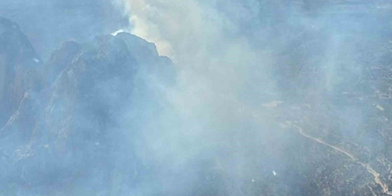 Mut’ta Orman Yangını