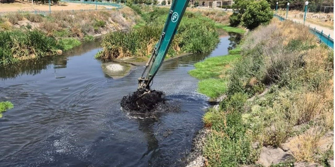 Alpu Sivrisinekten Ve Pis Kokudan Kurtuldu