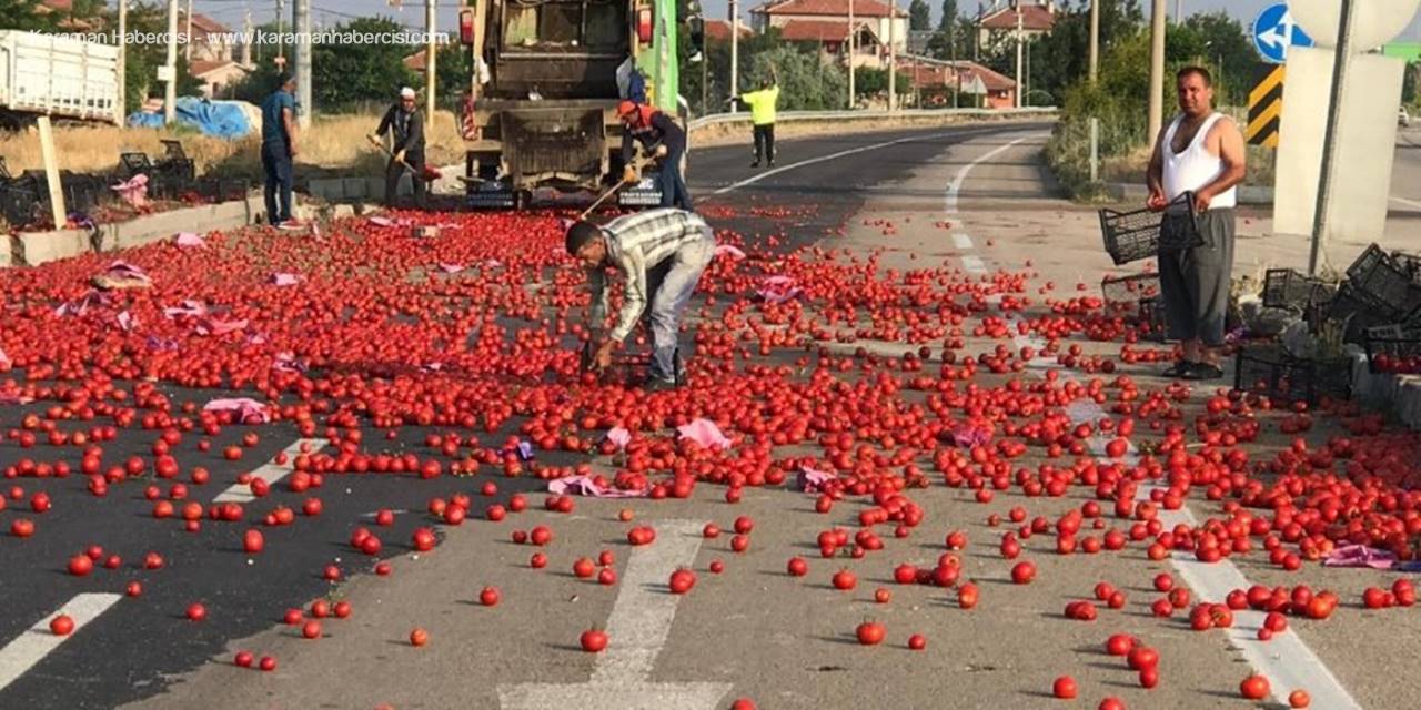 Ereğli Yolu Domates Tarlasına Döndü