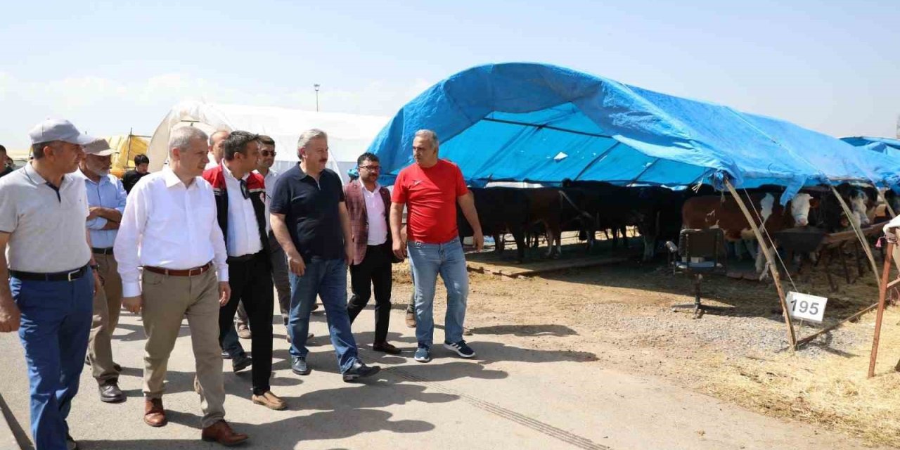 Başkan Palancıoğlu Kurban Pazarını İnceledi