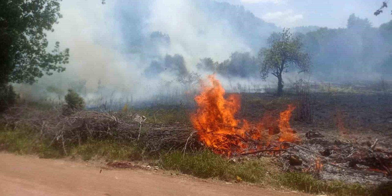 Ormanlık Alanda Çıkan Yangın Büyümeden Söndürüldü