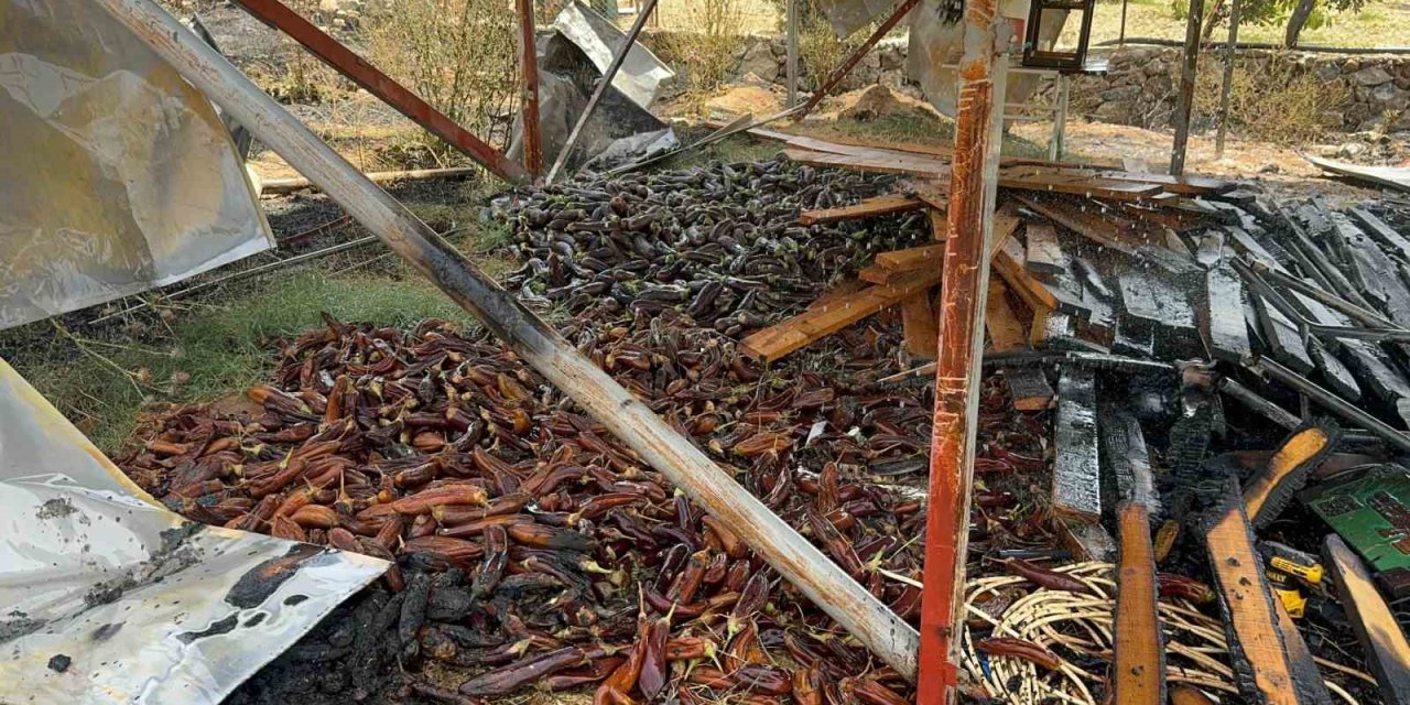 Otluk Alandan Sıçrayan Yangın Ahşap Evi Küle, Patlıcanları İse Köze Döndürdü