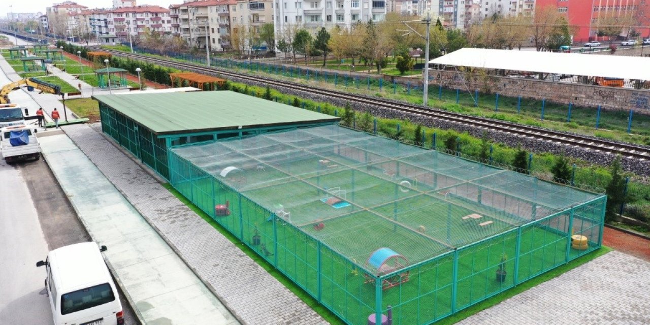 Bu Kasabada Kediler Otel Konforunda Yaşıyor