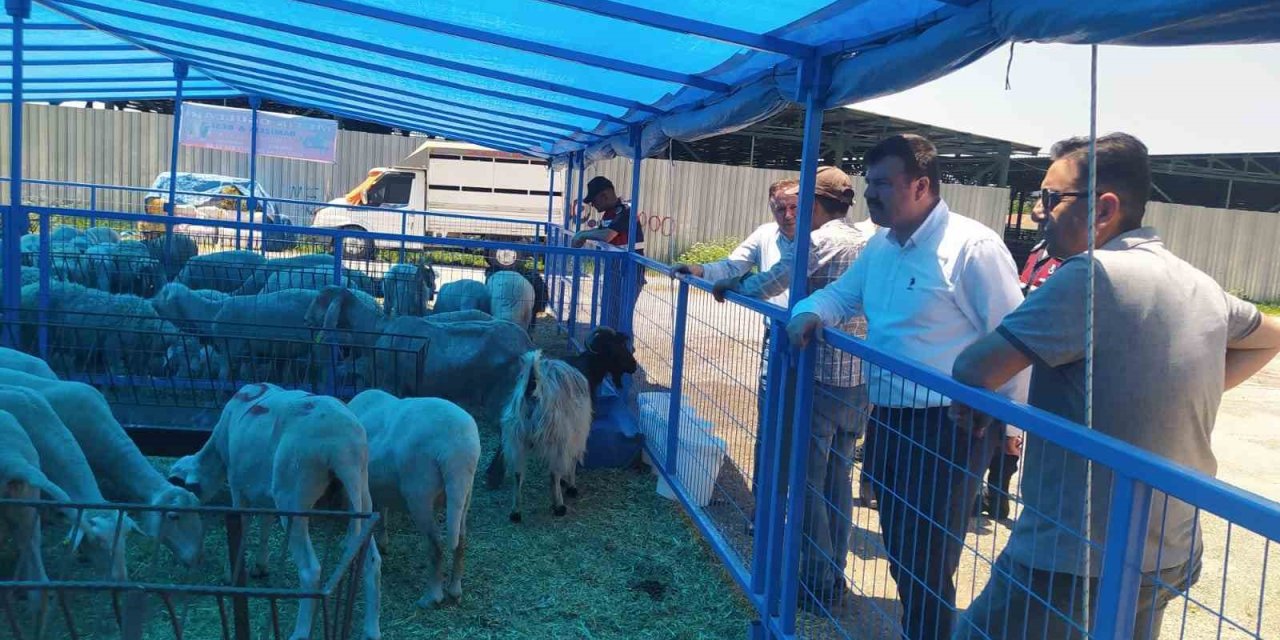 Gümüş: “kurban Bayramı İçin Her Türlü Hazırlık Yapıldı, Gerekli Önlemler Alındı”