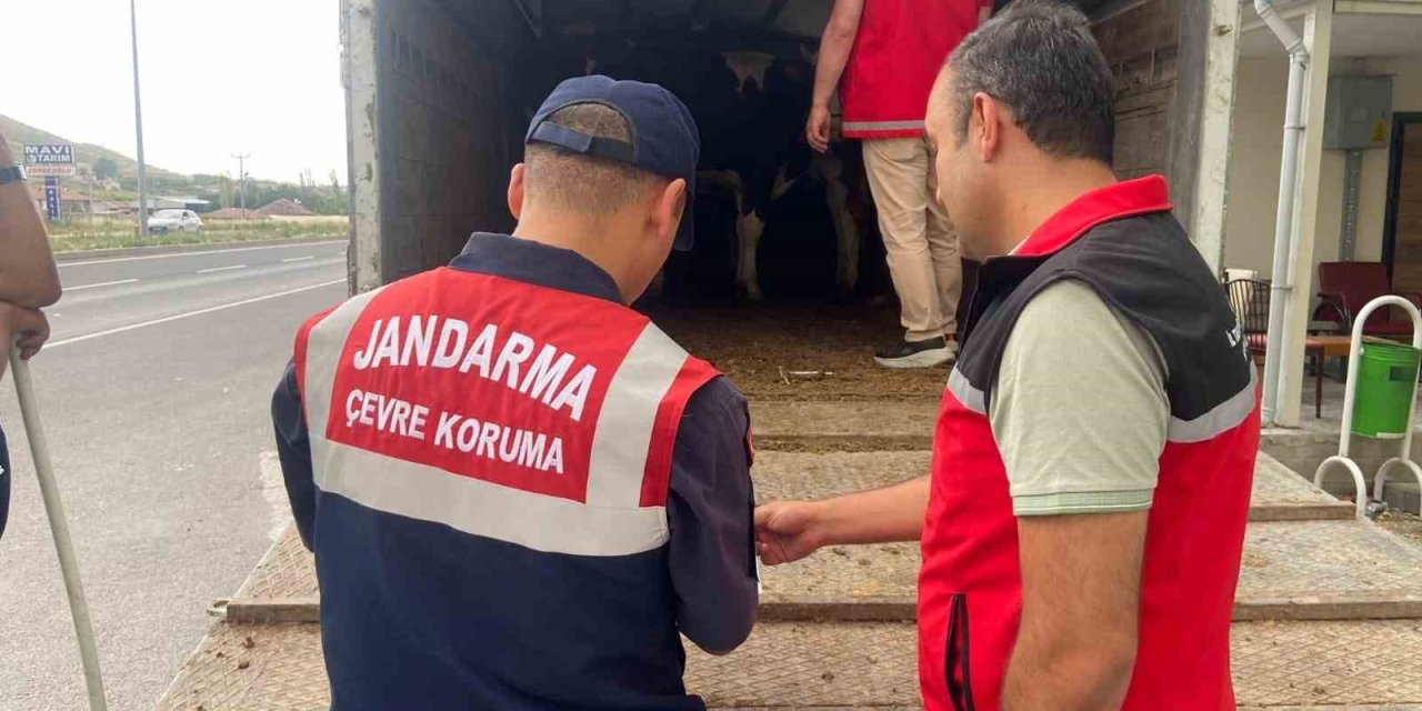 Jandarma’dan Kurbanlık Nakli Yapan Araçlara Denetim