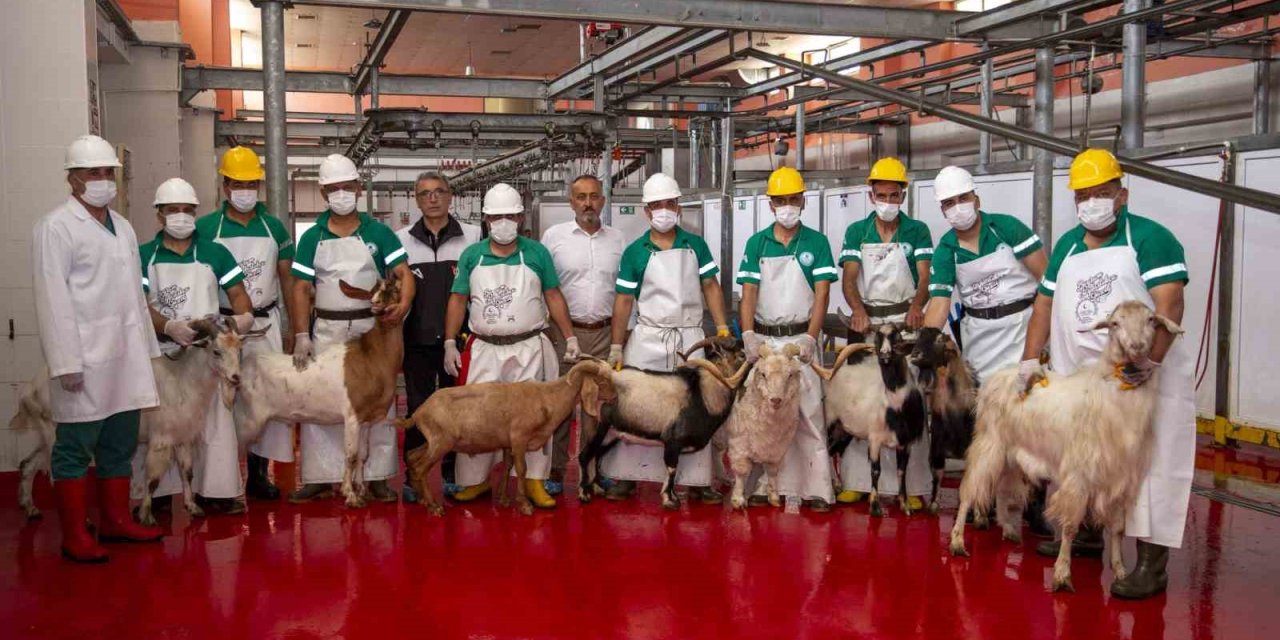 Büyükşehir Belediyesi Şehitler Anısına Kurban Kesti