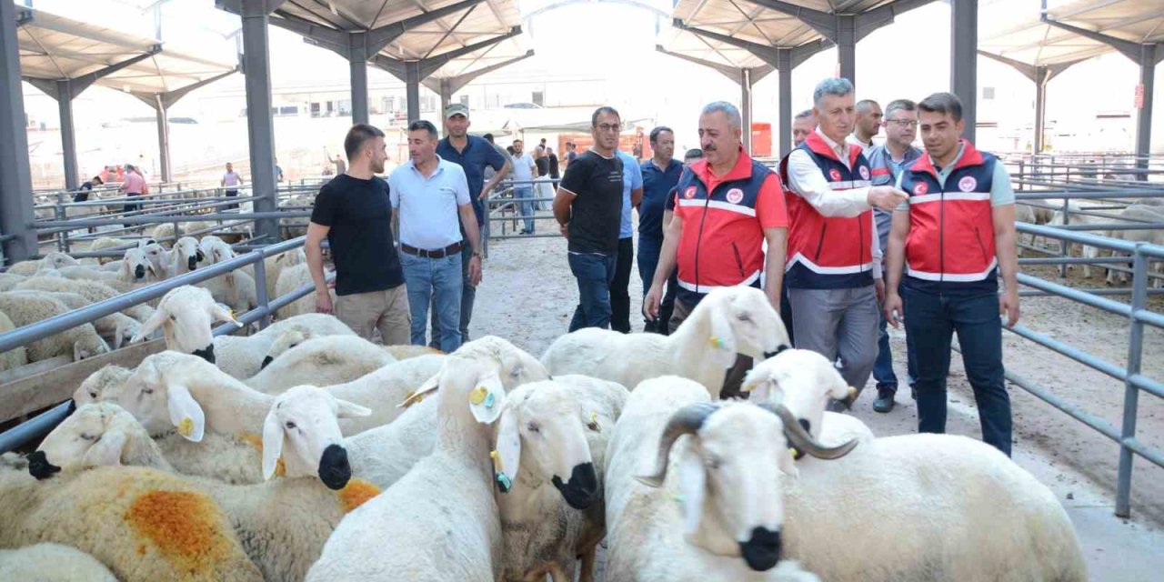 Kurban Satış Yerlerinde Denetimler Sürüyor