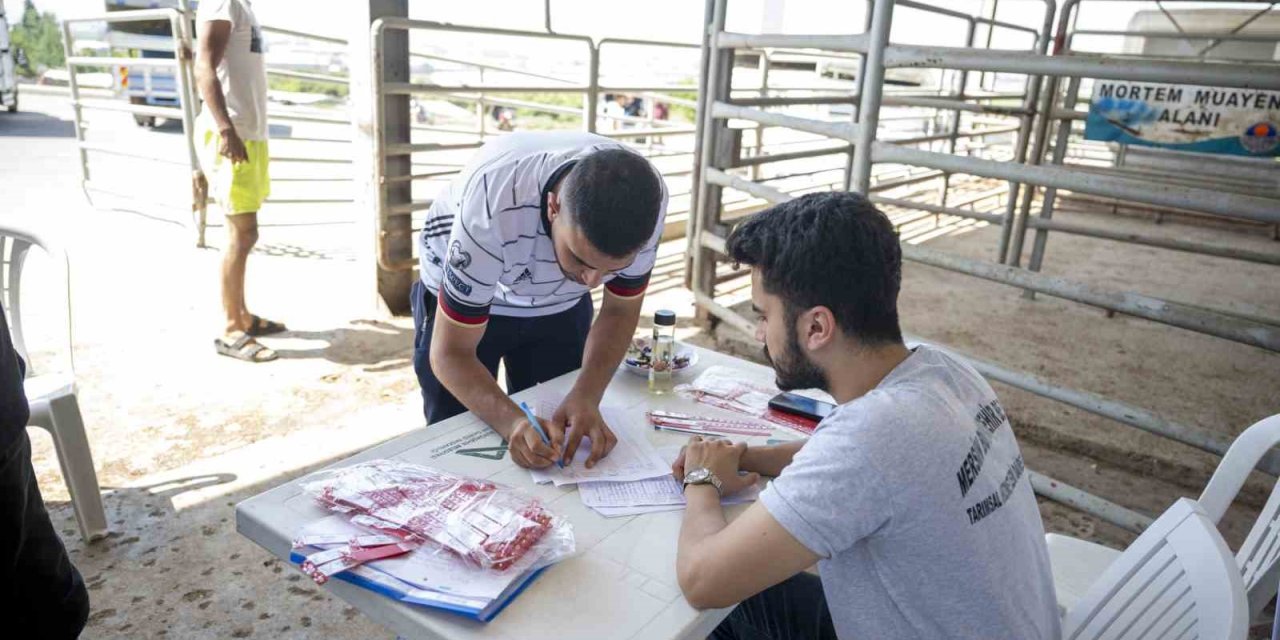 Vatandaşlar, Mobil Kesim Üniteleri Ve Mezbahalardan Ücretsiz Faydalandı