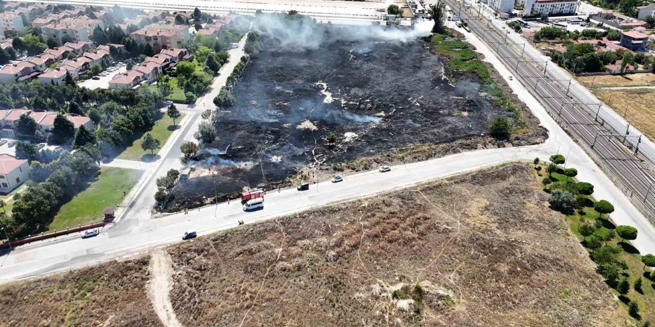 Yaklaşık 40 Dönümlük Köpek Besleme Alanı Küle Döndü