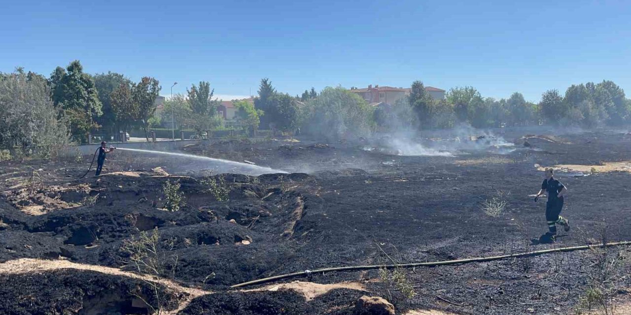 Köpek Besleme Alanındaki Yangından Etkilenen 3 Kaplumbağa Tedavi Altına Alındı