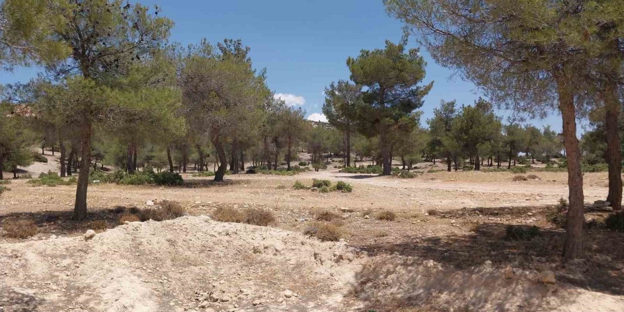 Mersin’de Cinayet: 2 Ölü