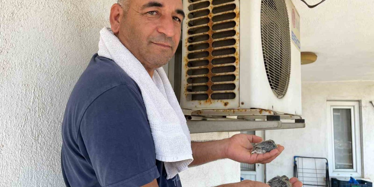 Motoruna Yuva Yapan Kumruları Rahatsız Etmemek İçin 40 Derece Sıcakta Evinde Klima Çalıştırmıyor