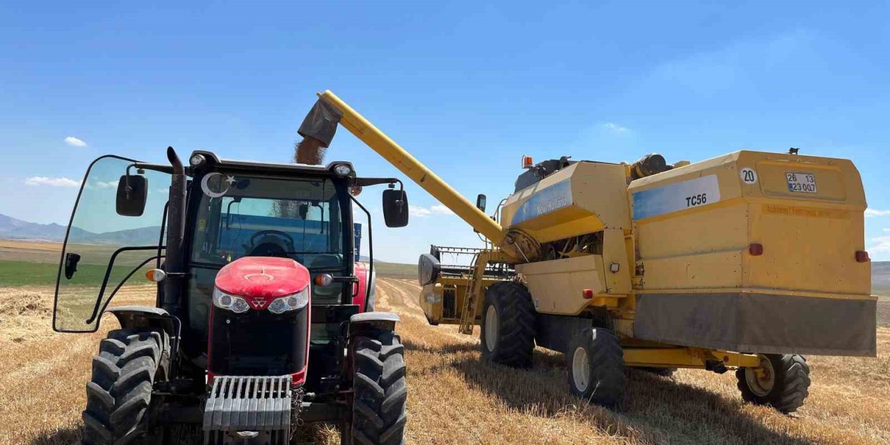 Sivrihisar’da Çiftçi Dönümden 300 Kilogram Buğday Aldı