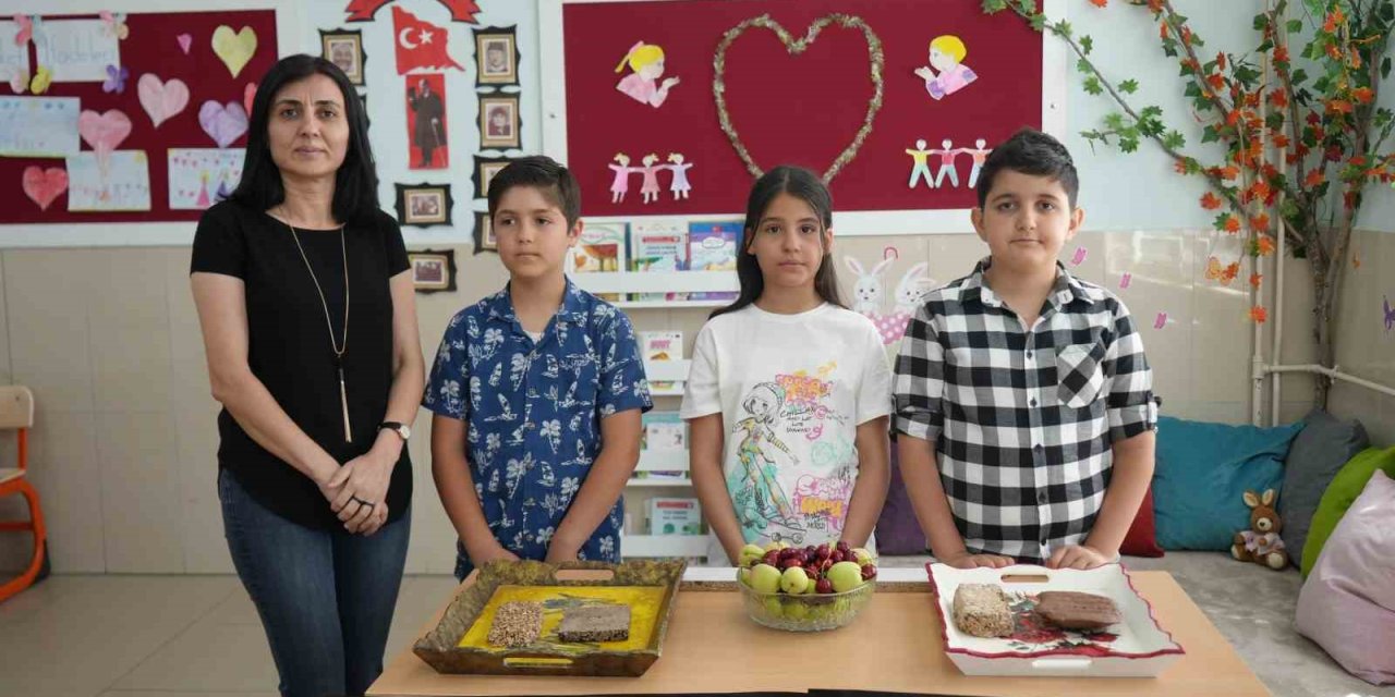 Meyve Çekirdeğinden Mobilya