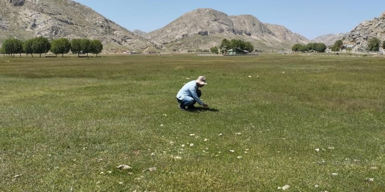 Gazipaşa’nın Yaylalarında Çekirge Sürvey Çalışması Yapıldı