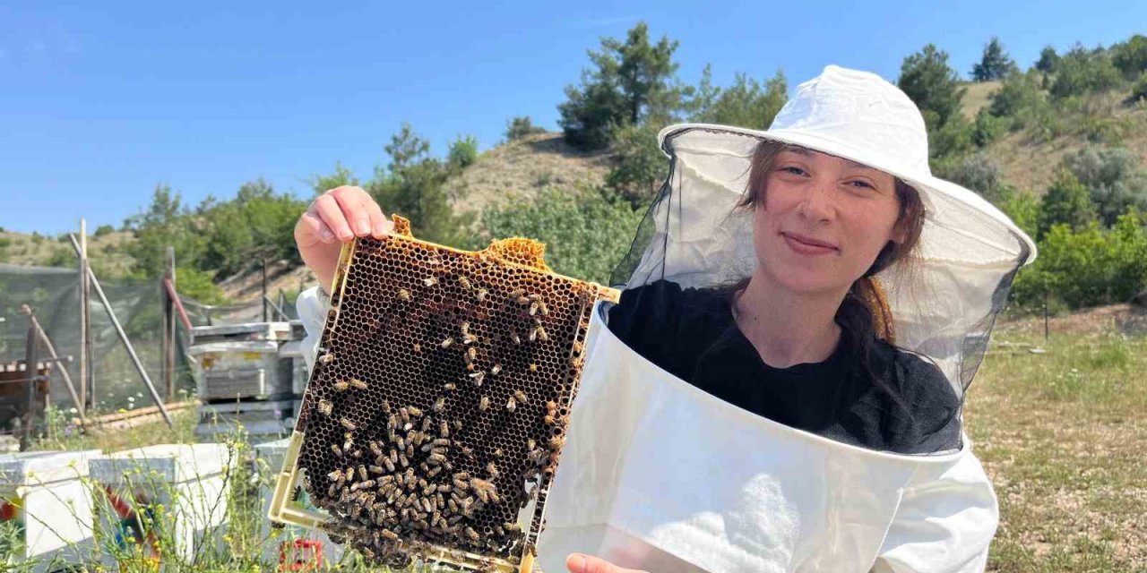 Yurtdışını Ardında Bırakıp Eskişehir’in Dağlarında Bal Üretmeye Başladı
