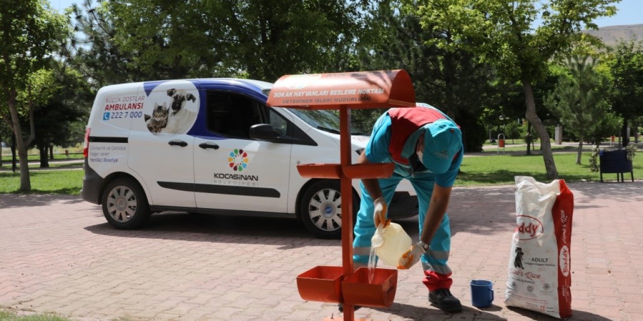 Kocasinan’da Küçük Dostlar İçin Büyük Hassasiyet