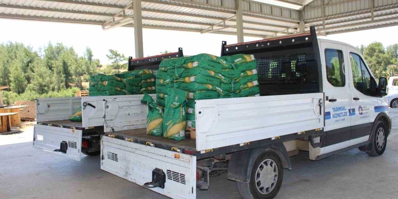 Antalya’da Üreticiye Silajlık Mısır Tohumu Desteği Sürüyor