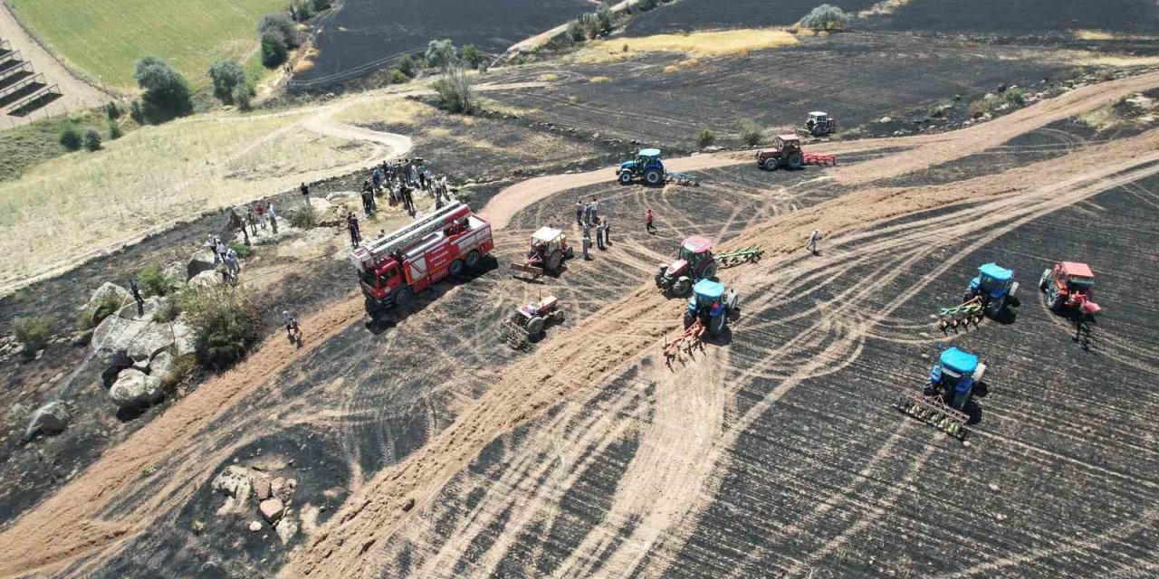 30 Dönüm Ekili Arazi Yangında Kül Oldu
