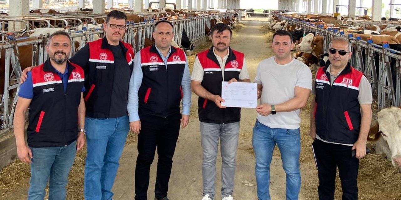 Eskişehir’de Ari İşletme Sayısı Genç Yetiştiricilerle Çoğalıyor