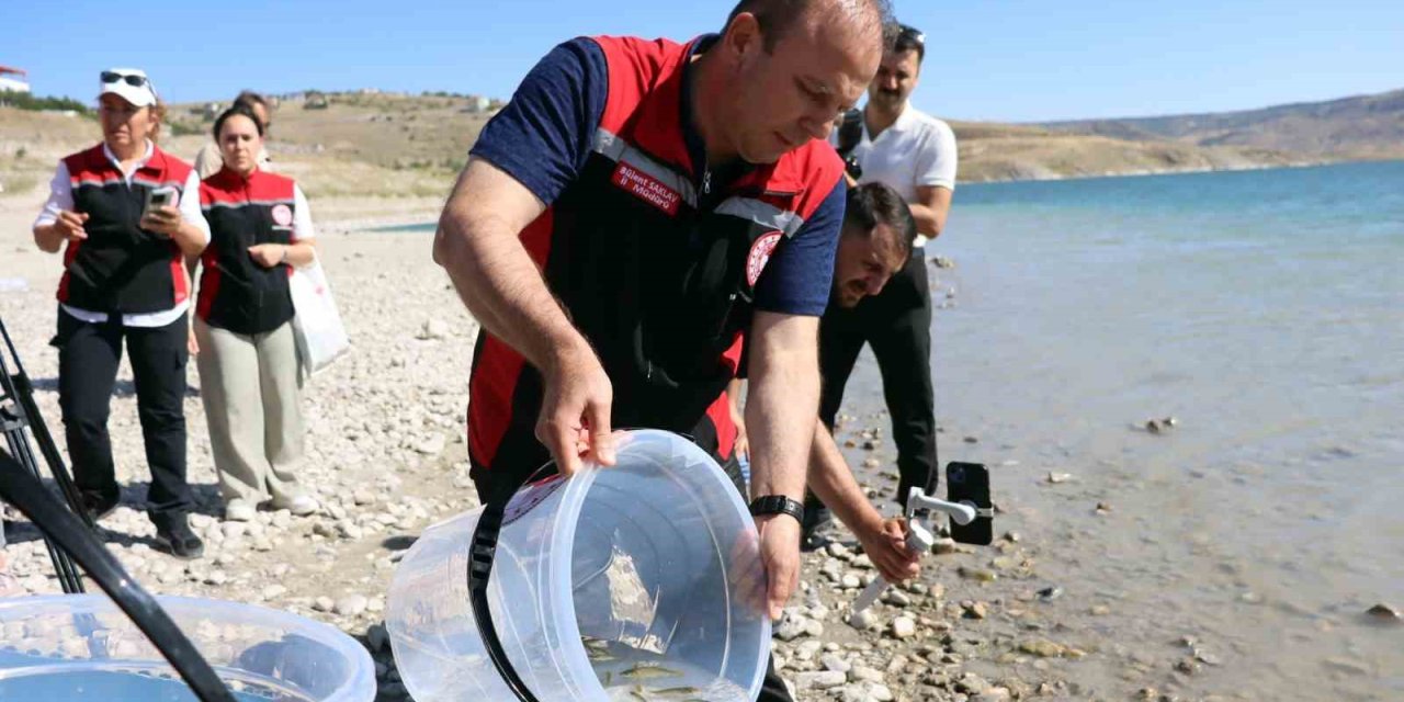 Kayseri’de Sulara 1 Buçuk Milyon Balık Bırakıldı