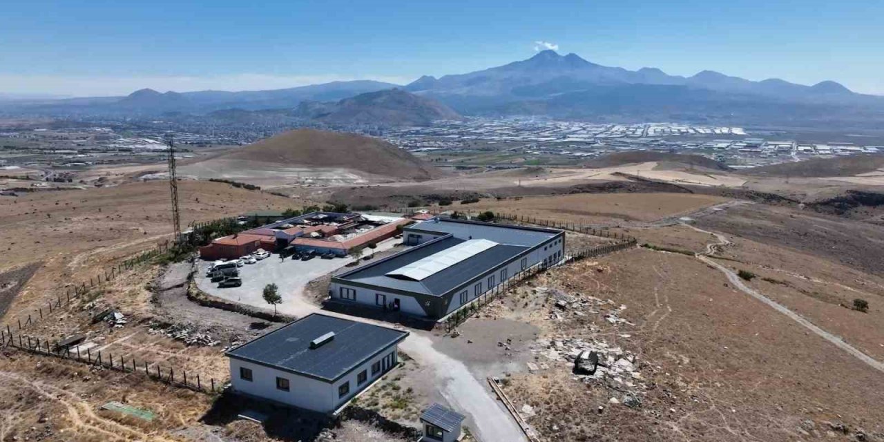 Büyükşehir 25 Bin Sokak Hayvanına Sahip Çıktı