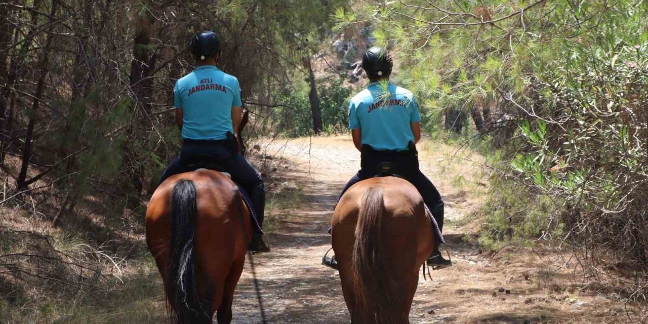 Antalya’da Orman Yangınlarına Karşı Devriye Ve Faaliyetler Sıklaştırıldı
